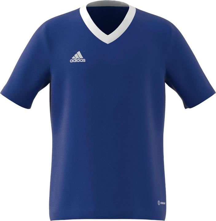 Royblu
