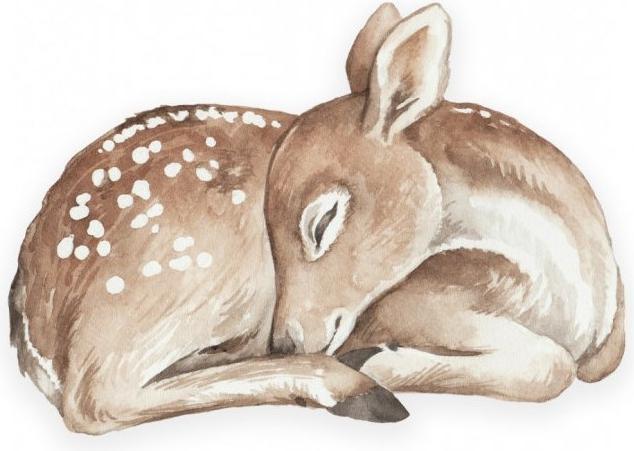 Immagine prodotto Benlemi Cuscino decorativo Doe (35 x 21 cm)