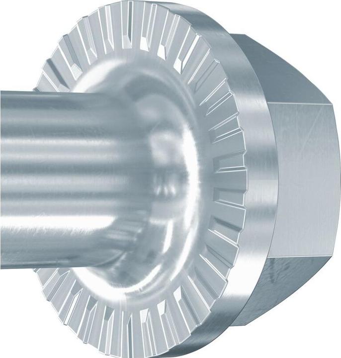 Image du produit Fischer 558225 (20 Vis par pièce)