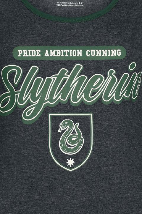 Produktbild Slytherin - Pride Ambition Cunning (L)