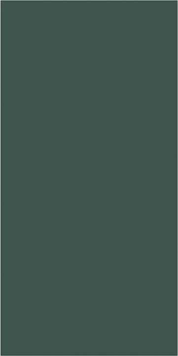 Arena Microfiber Gym Towel (100 x 50 cm)