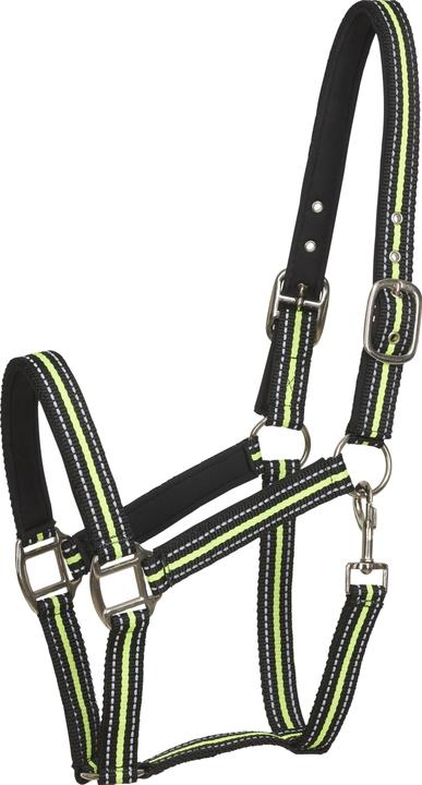 Produktbild Horse Guard Reflektierendes Halfter