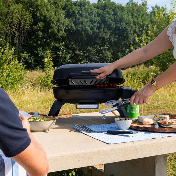 Actual product image Napoleon Grills TravelQ 240 (2.60 kW)