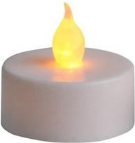 Actual product image Star Trading Paulo (2 x)