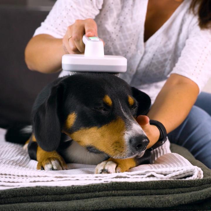 Produktbild MediaShop PiddiPet (Hund, Katze)