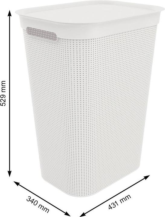 Image du produit Rotho Brisen (50 l)