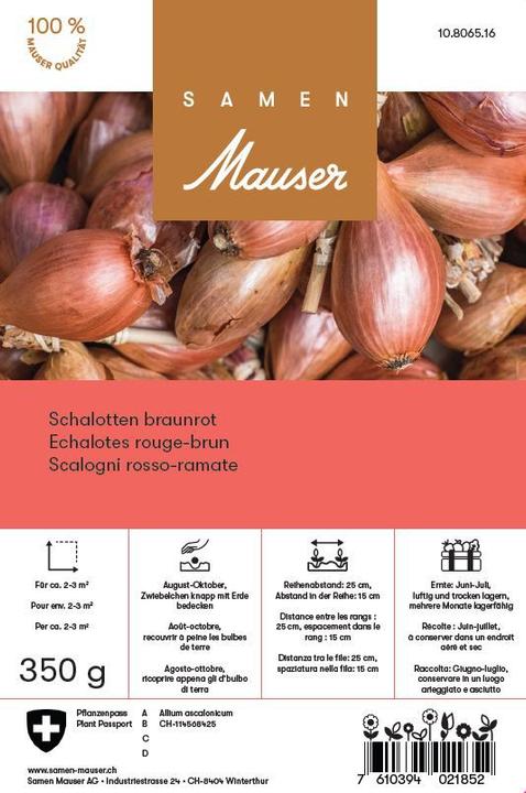 Produktbild Samen Mauser Schalotten Pikant (Gemüsesamen)