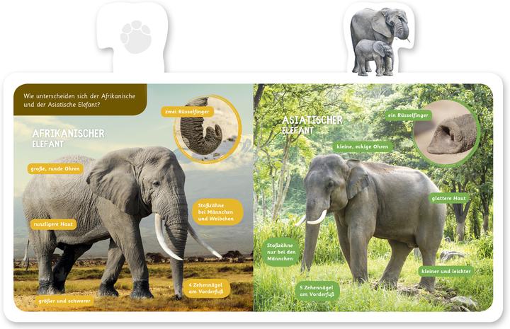 Produktbild Der Elefant (Deutsch, Hannah Kastenhuber, 2018)