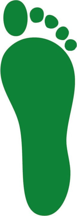 Produktbild Atlas ERGO-MED Einlegesohle green, GrÃ¶ÃŸe 45