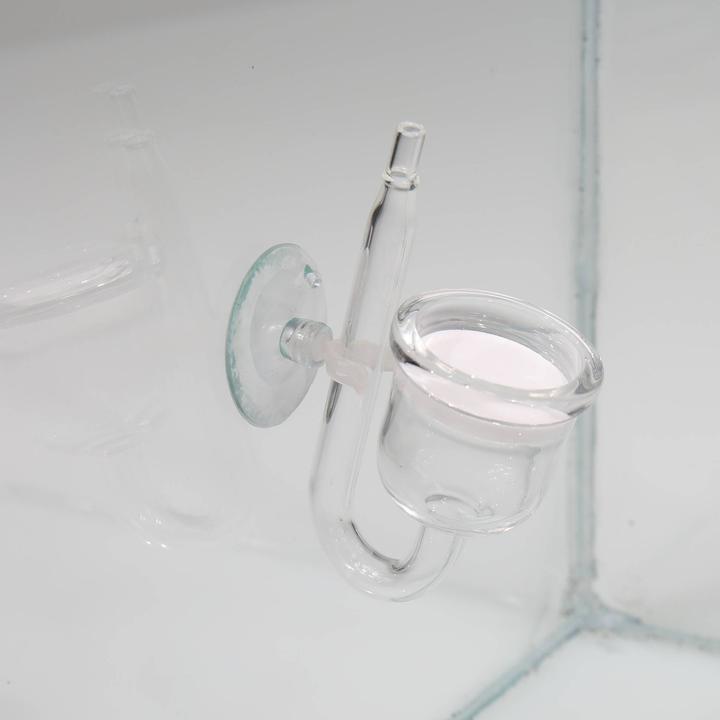 Produktbild JBL Aquaristik und Terraristik ProFlora CO2 (Aquarium Pflanzenpflege, Schwamm)
