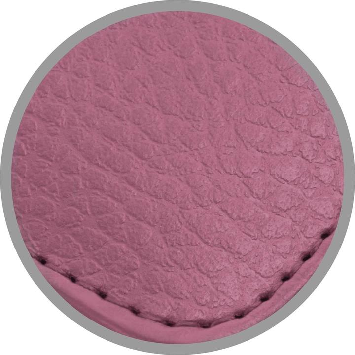 Image du produit Cadorabo Pochette 3 cartes (Apple iPhone 13 Pro Max)