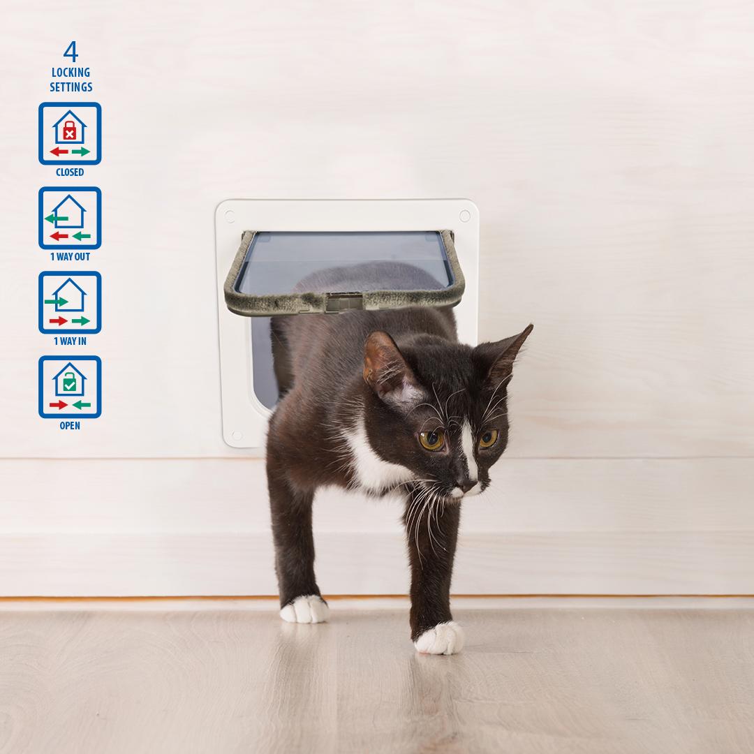 EBI Chatire + tunnel, Chatire + filet pour chat