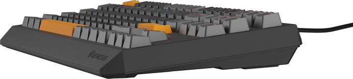 Actual product image Genesis Thor 230 TKL Anchor Gray Positive RGB Outemu Red (US, Cable, Wireless)
