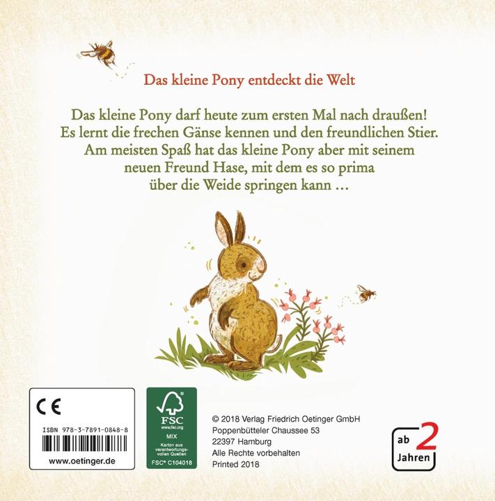 Produktbild Hallo, kleines Pony! (Deutsch, Nina Dulleck, 2018)