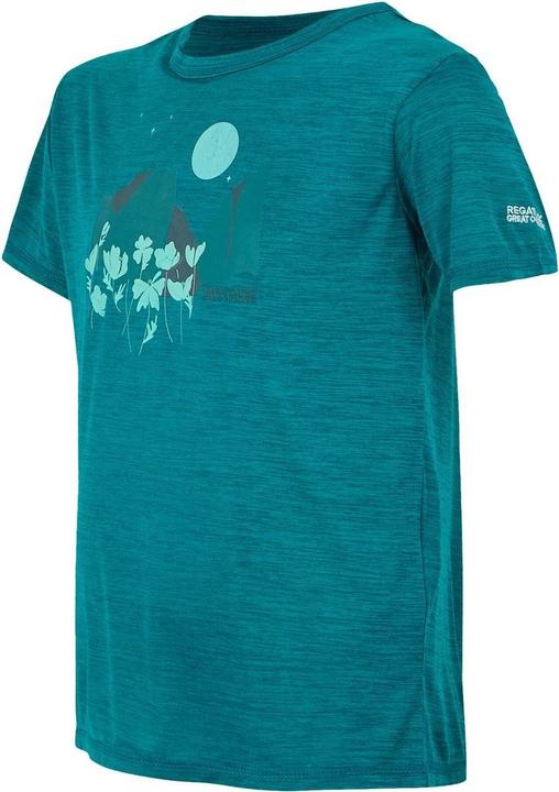 Produktbild Regatta Alvarado IX TShirt (158)