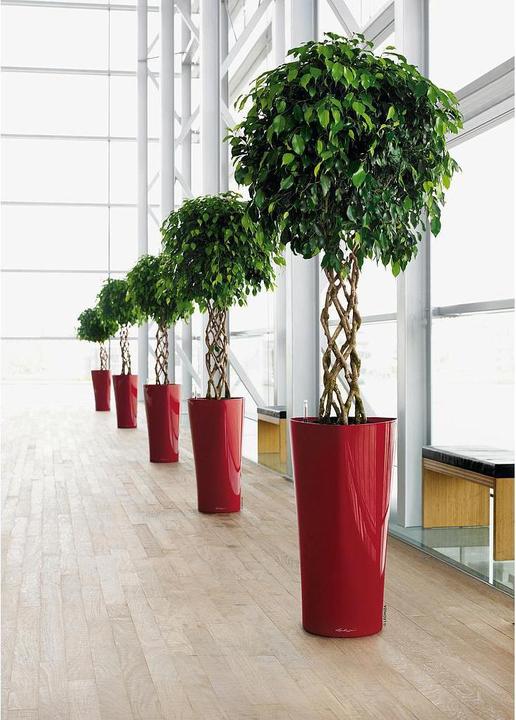 Produktbild Lechuza Delta (29 x 56.50 cm)