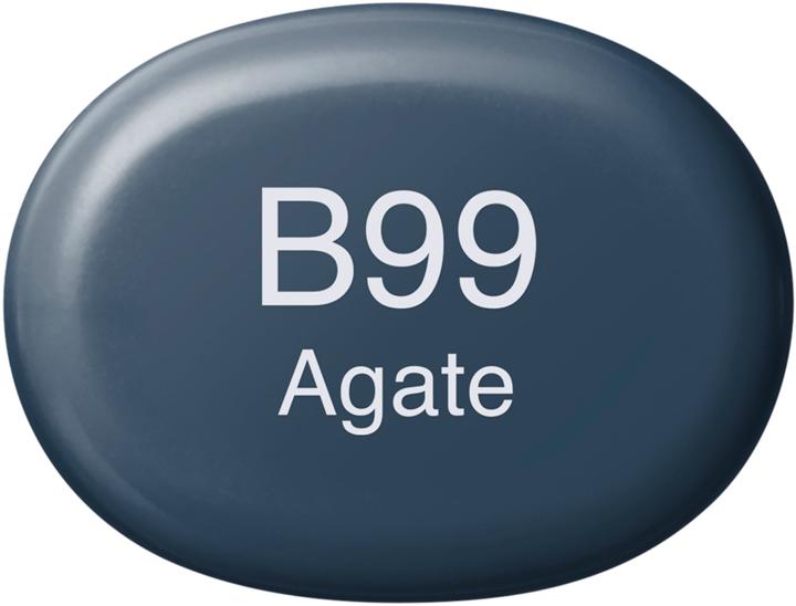 Image du produit Copic Sketch type B - 99 (B99 - Agate, 1 x)