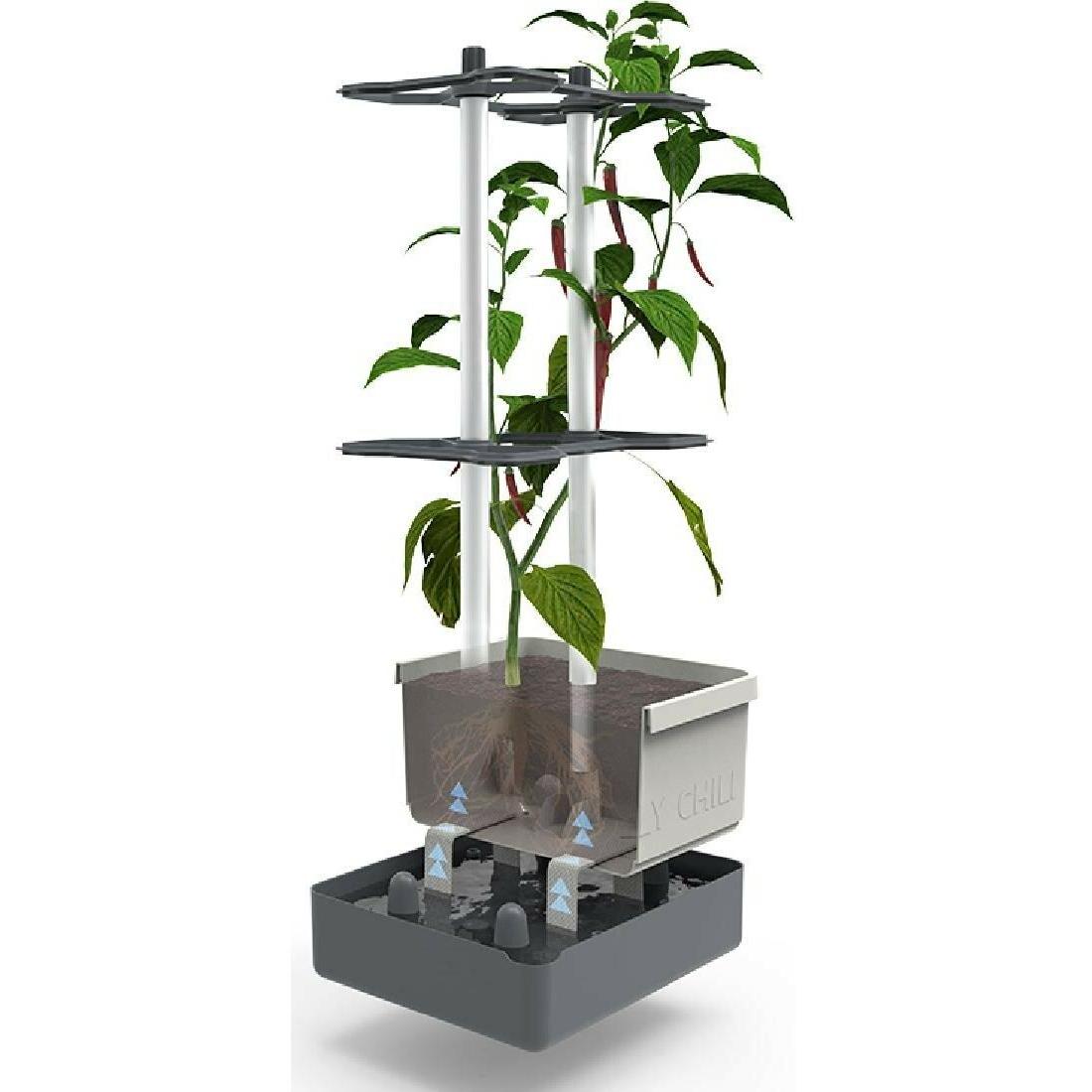 Thumbnail - Gusta Garden, Blumentopf, Charly Chili (35 cm)