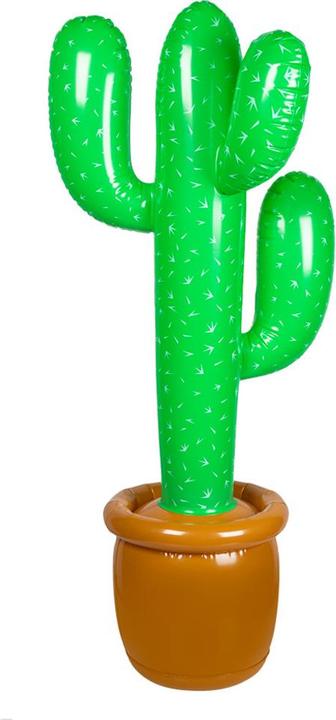 Image du produit Boland Cactus gonflable (1x)