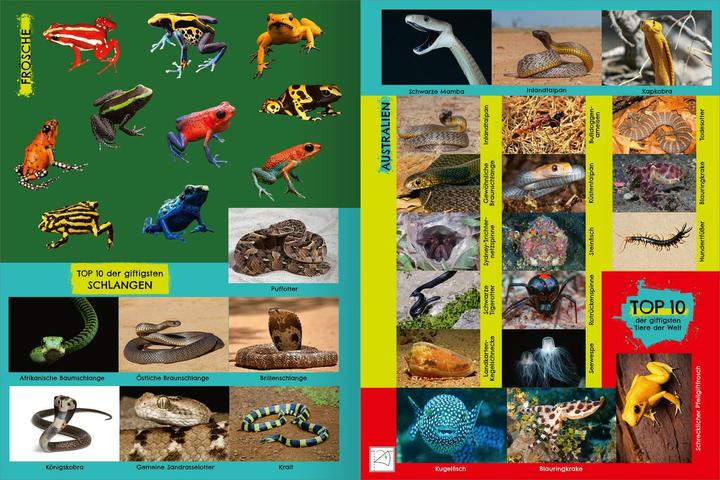 Image du produit Le cahier d'autocollants le plus toxique au monde