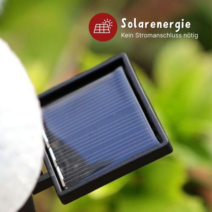 Image du produit Hermex LED Solarlampe Schneemann Solarleuchte Gartenbeleuchtung Dekoleuchte (IP55)
