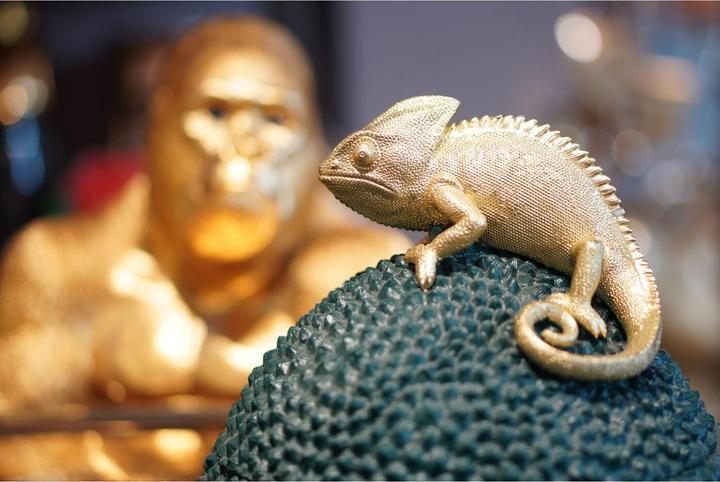 Actual product image Kare Design Deco Box Chameleon 34cm