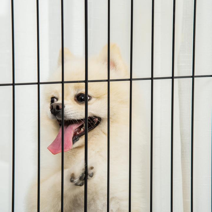 Actual product image PawHut Barrier grid with folding system