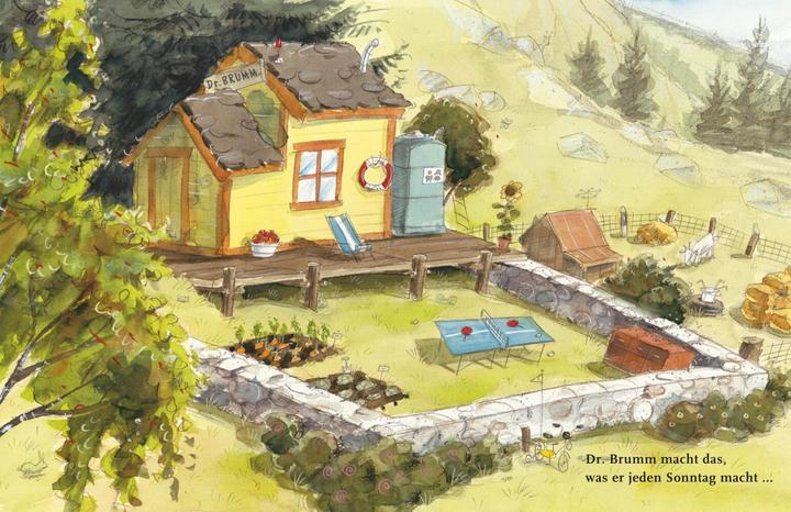 Produktbild Dr. Brumm steckt fest (Deutsch, Daniel Napp, 2005)