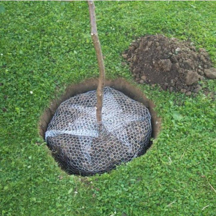 Produktbild Siena Garden Wühlmauskorb (5000 ml)