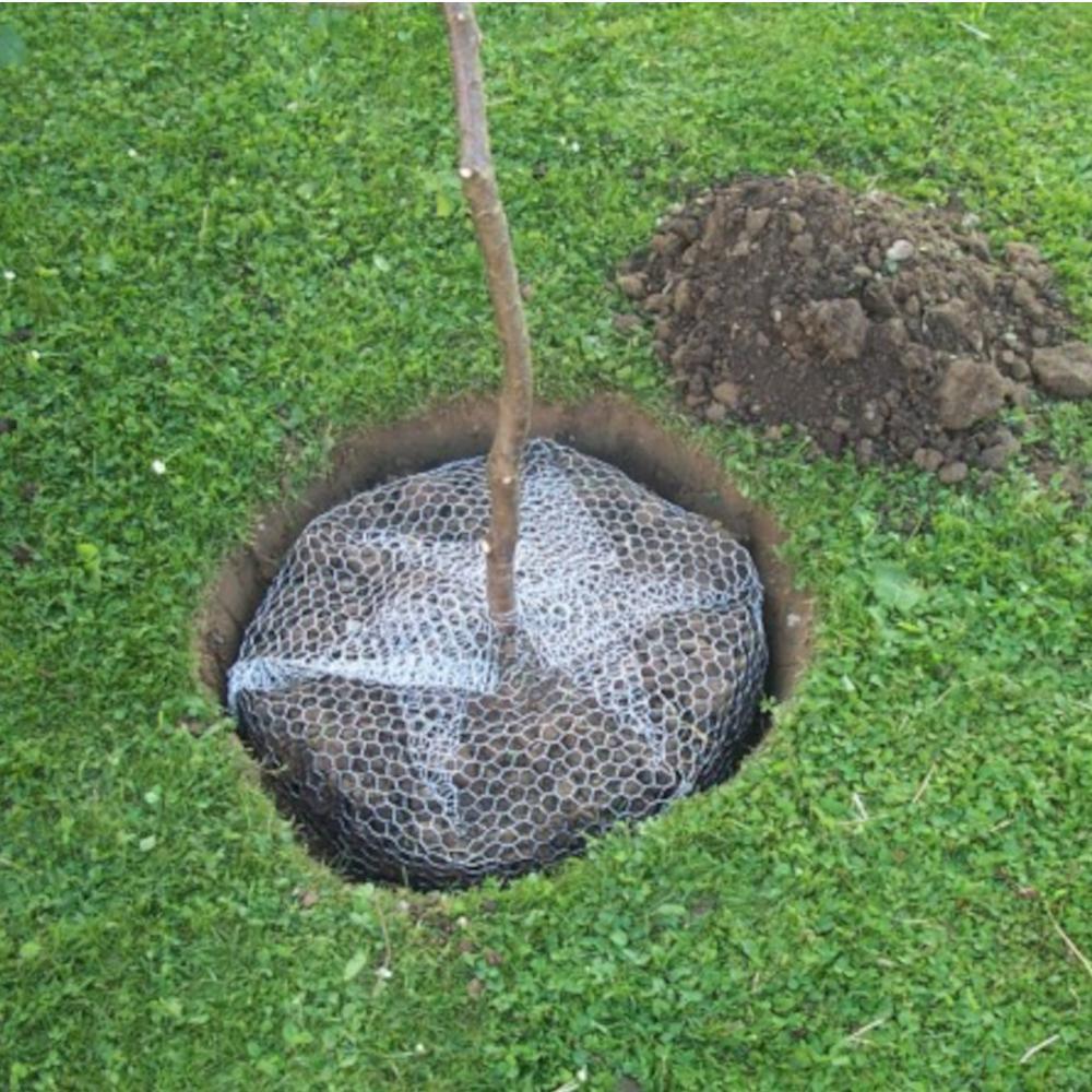 Thumbnail - Siena Garden, Tiervertreiber, Siena Wühlmauskorb verzinkt Ø 60 cm Höhe 70 cm, ausfaltbar