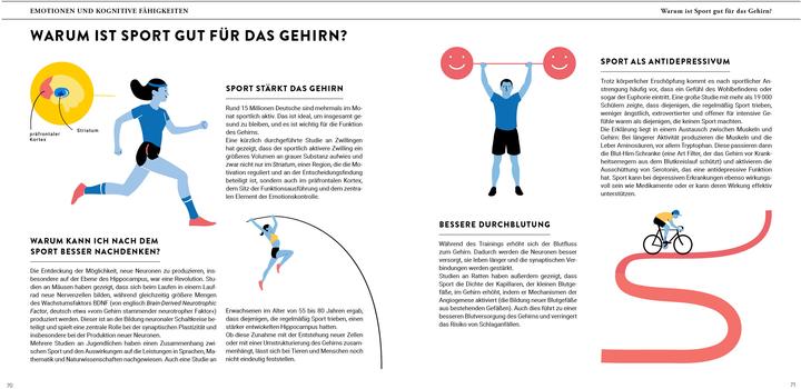 Energie-Label Eine Reise durch unser Gehirn (Deutsch, Steven Laureys, 2023)