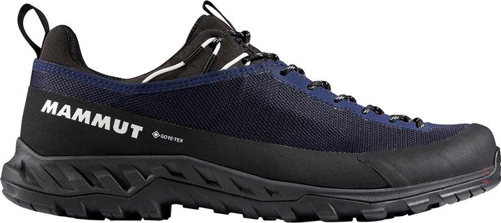 Produktbild Mammut Alnasca IV Low GTX Men (44)