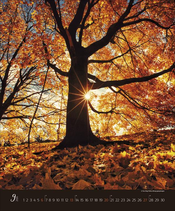 Produktbild AugenblickeimWald2026 (Spezial)