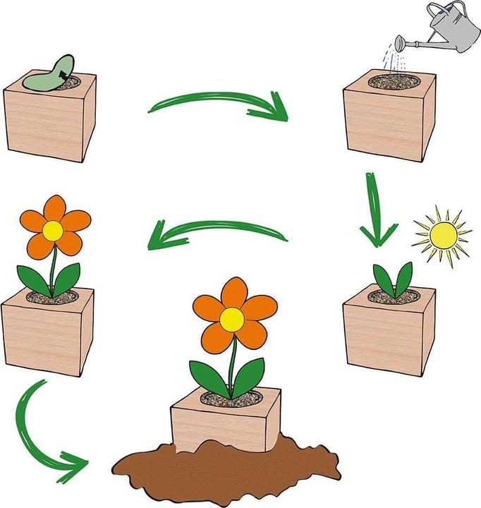 Image du produit Feel Green Ecocube (Graines de fleurs)
