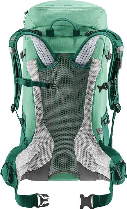 Actual product image Deuter Futura 30 (30 l)