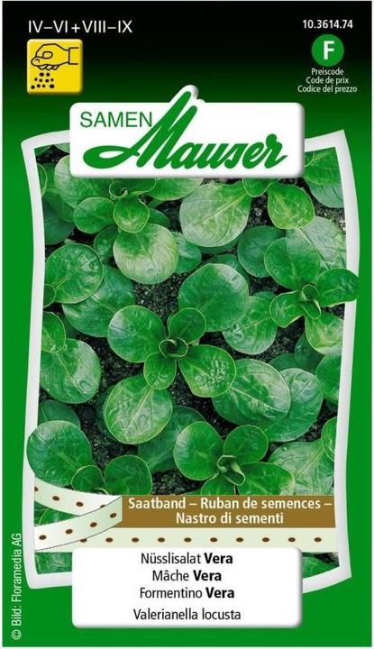 Actual product image Samen Mauser Sweet Salad Vera Seed Ribbon (Vegetable seeds)