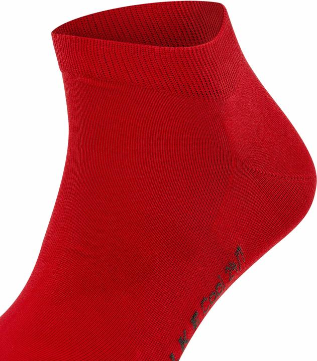 Image du produit Falke Cool 24/7 (Une unité par pack, 41 - 42)
