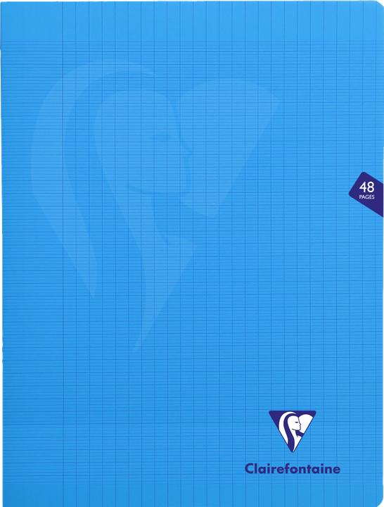 Immagine prodotto Clairefontaine Mimesys