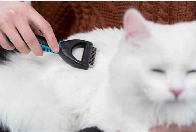 Productafbeelding Trixie Bontont ontbladeraar (Kat, Hond)