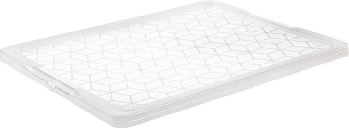Image du produit Rotho Couvercle pour Evo Easy (59 x 2 x 39.5 cm, 1 l)