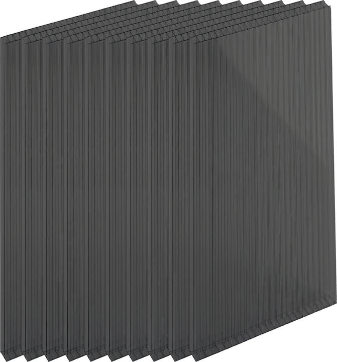 Produktbild Relaxdays Doppelstegplatten