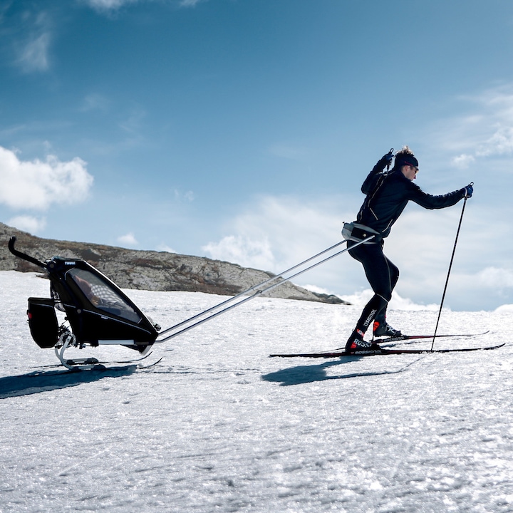 Actual product image Thule Chariot Sport 1
