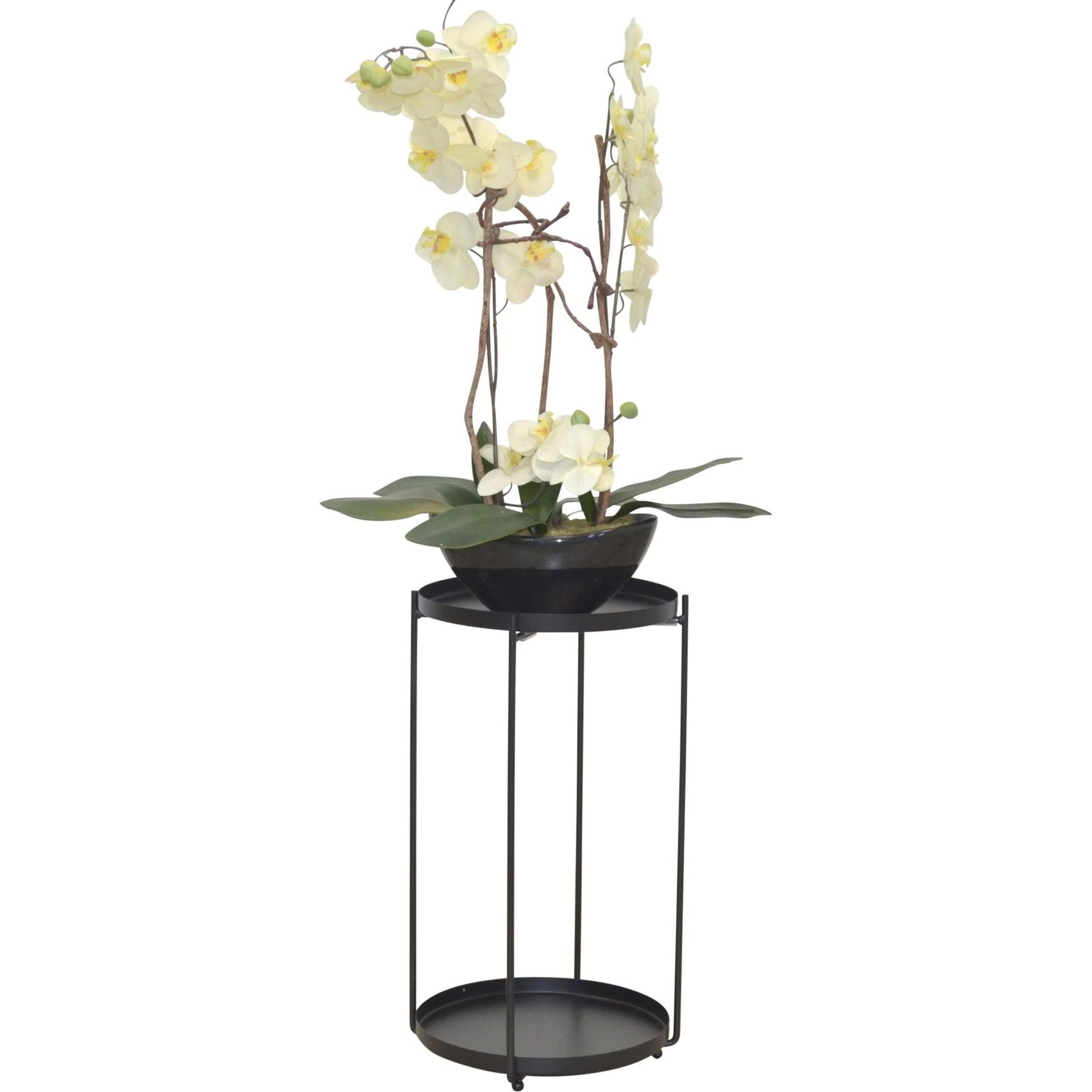 Thumbnail - Möbel Direkt Online, Pflanzenständer + Blumentreppe, Iris