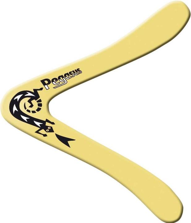 Produktbild Günther Flugspiele Boomerang Pegasus