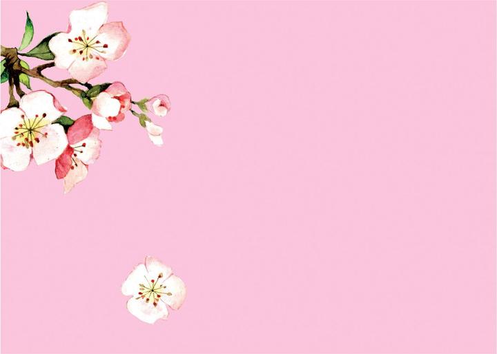 Produktbild Cedon Briefpapier Set Kirschblüte.2037471 (100 Stk.)