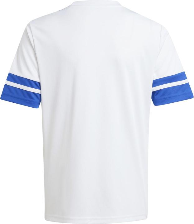 Actual product image Adidas Squadra 25 Jersey Kids (176)