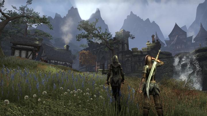 Actual product image Bethesda The Elder Scrolls Online - Tamriel Unlimited (PS4)