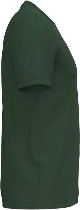 Actual product image Native Spirit Unisex Adult Heavyweight Slim T-Shirt (4XL)