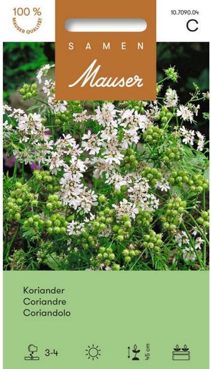 Produktbild Samen Mauser Koriander (Kräutersamen)