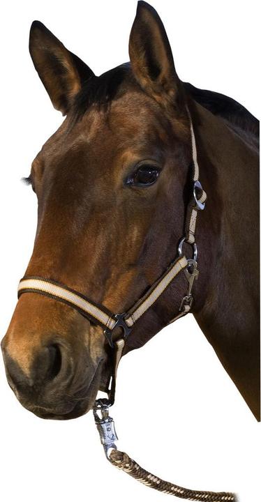 Produktbild Usg Basic